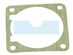 Joint D'embase Pour Tronçonneuse Echo (10101014731)