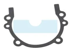 Joint De Carter Pour Débroussailleuse Shindaiwa (V102000260)