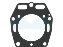 Joint De Culasse Pour Moteur Kawasaki (110022104)