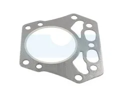 Joint De Culasse Pour Moteur Kawasaki (110047006)