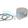 Piston Pour Moteur Honda (13101ZF6W00) -Pièce moteur Soldes Boutique 339 z zoo