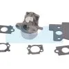 Carburateur Pour Moteur Briggs & Stratton (790120) -Pièce moteur Soldes Boutique 4305 z big