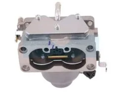 Carburateur Pour Moteur Briggs & Stratton (791230)