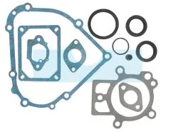 Pochette De Joint Pour Moteur Briggs & Stratton (798800)