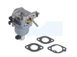 Carburateur Pour Moteur Briggs & Stratton (699807)