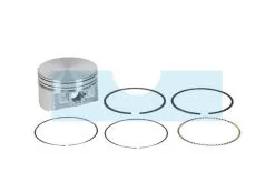 Piston Pour Moteur Briggs & Stratton (793647)