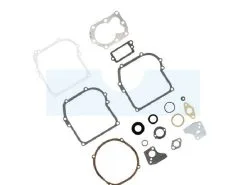 Pochette De Joint Pour Moteur Briggs & Stratton (795971)