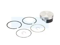 Piston Avec Segments Pour Moteur Briggs & Stratton (796172)