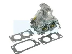Carburateur Pour Moteur Briggs & Stratton (844369)