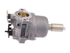 Carburateur Pour Moteur Briggs & Stratton (799727)