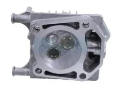 Culasse Pour Moteur Briggs & Stratton (84001270) -Pièce moteur Soldes Boutique a69433b 2 big