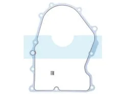 Joint De Carter Pour Moteur Kohler (2404166S)