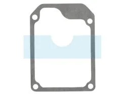 Joint De Cache Soupape Pour Briggs & Stratton (272131)
