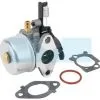 Carburateur Pour Moteur Briggs & Stratton (591137)