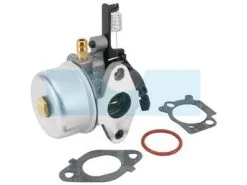 Carburateur Pour Moteur Briggs & Stratton (591137)