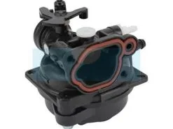 Carburateur Pour Moteur Briggs & Stratton (593247)