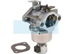 Carburateur Pour Moteur Briggs & Stratton (594605)
