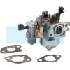 Carburateur Pour Moteur Briggs & Stratton (596079)
