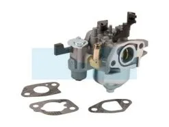 Carburateur Pour Moteur Briggs & Stratton (596079)