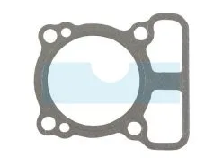 Joint De Culasse Pour Moteur Briggs & Stratton (793455)