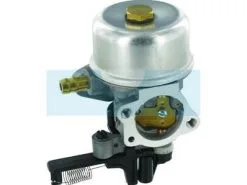 Carburateur Pour Moteur Briggs & Stratton (799226)
