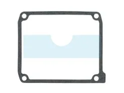 Joint De Cache Soupape Pour Briggs & Stratton (843713)