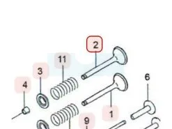 Soupape D'échappement Pour Moteur Kawasaki (120052107)